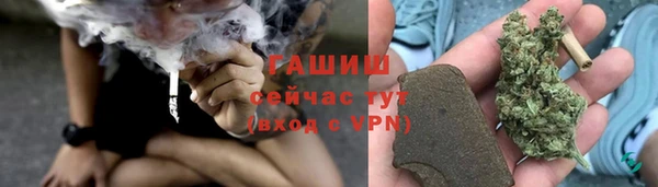 индика Алагир