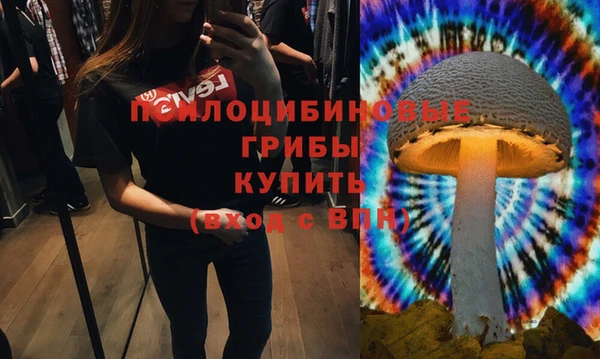 индика Алагир