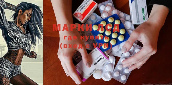 гидра Таштагол