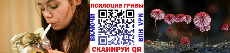 Псилоцибиновые грибы прущие грибы  магазин  наркотиков  Краснообск 